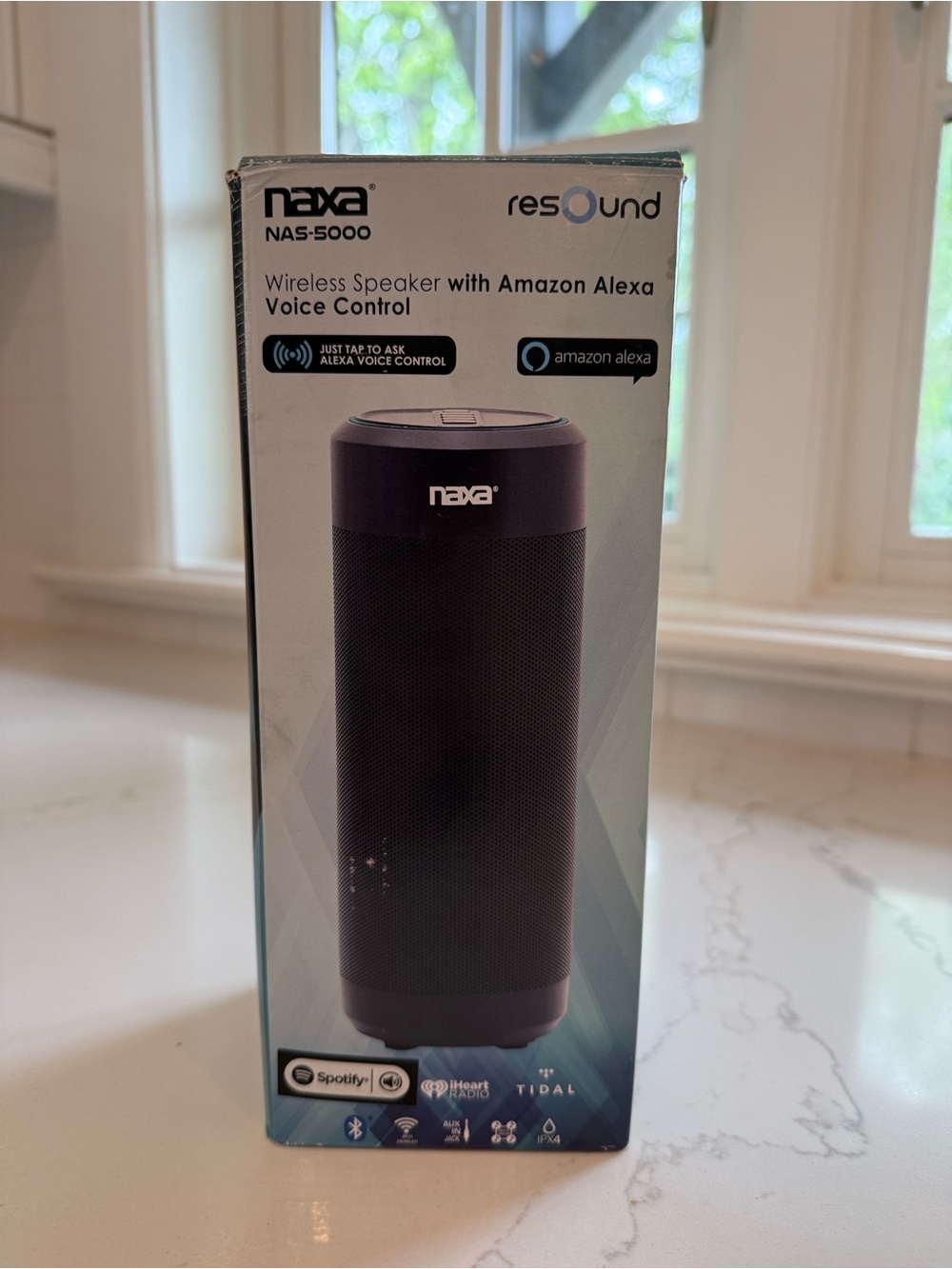 NAS-5000 Black Portable Wireless Speaker with Alexa